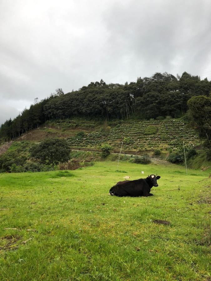 Premium Holiday Cabin - Spectacular Tungurahua Volcano View Baños Esterno foto