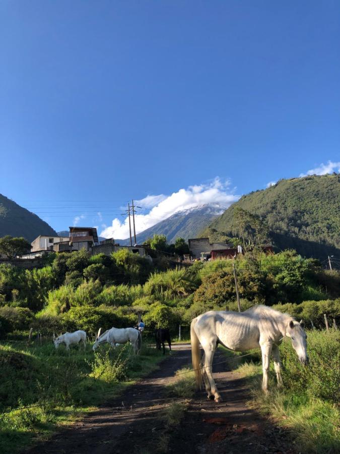 Premium Holiday Cabin - Spectacular Tungurahua Volcano View Baños Esterno foto